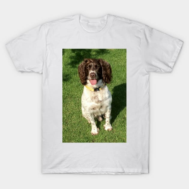 BROCK IN THE SUNSHINE T-Shirt by JohnDalkin